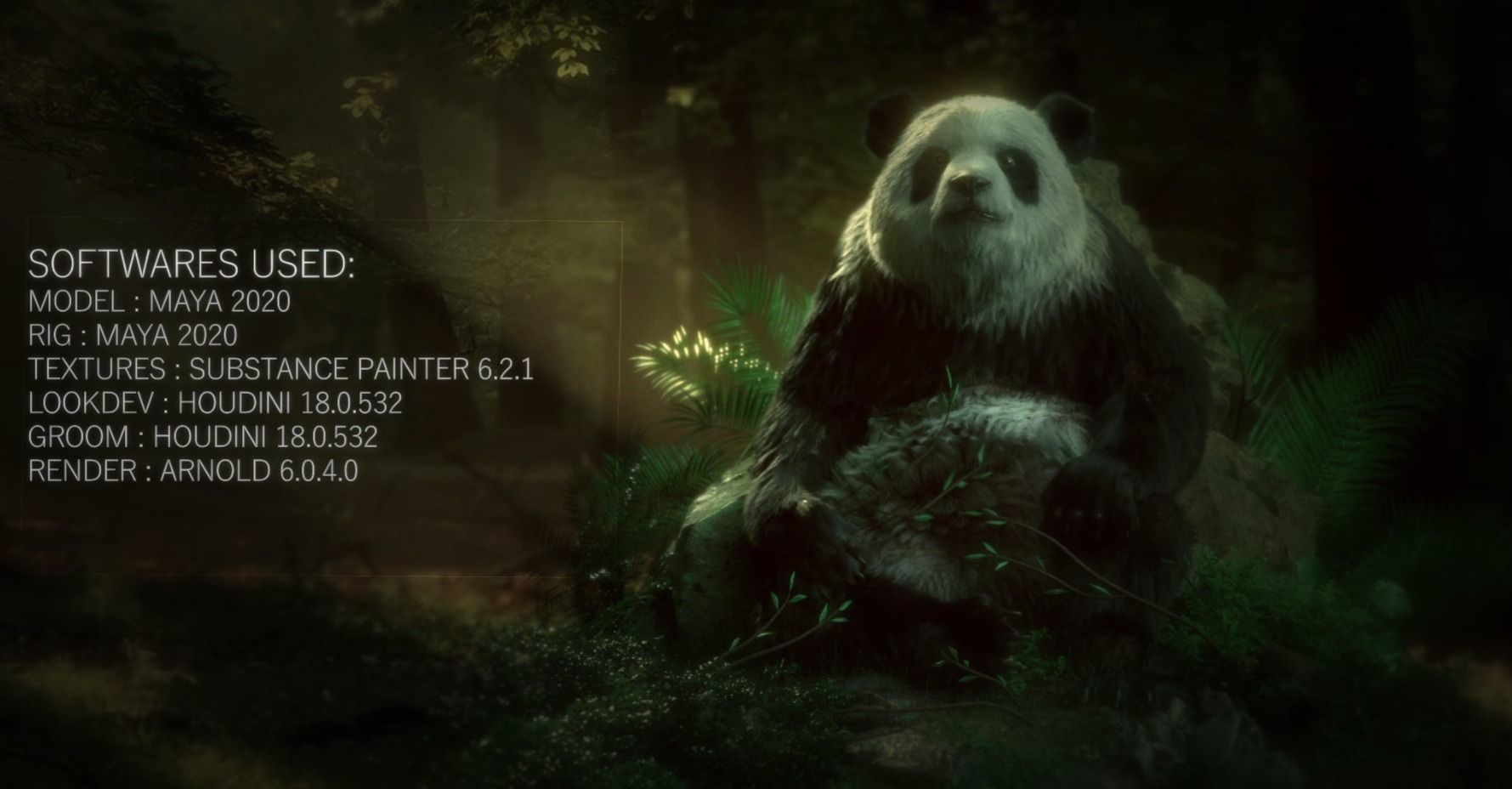 Giant Panda RIGGED 3D model_13