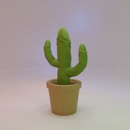 Mysterious Cactus  3D print model