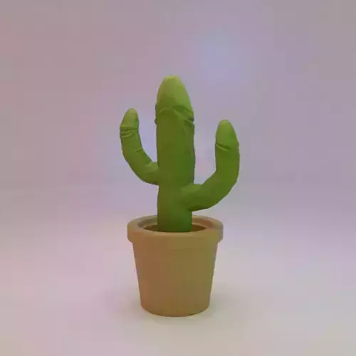 Mysterious Cactus  3D print model