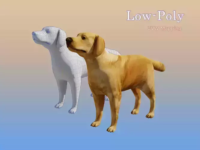 Dog Lowpoly Model golden retriever