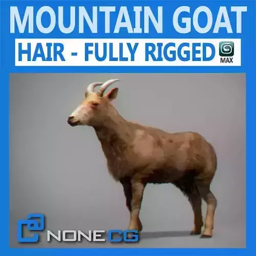 Rigged Mountain Goat 3D model