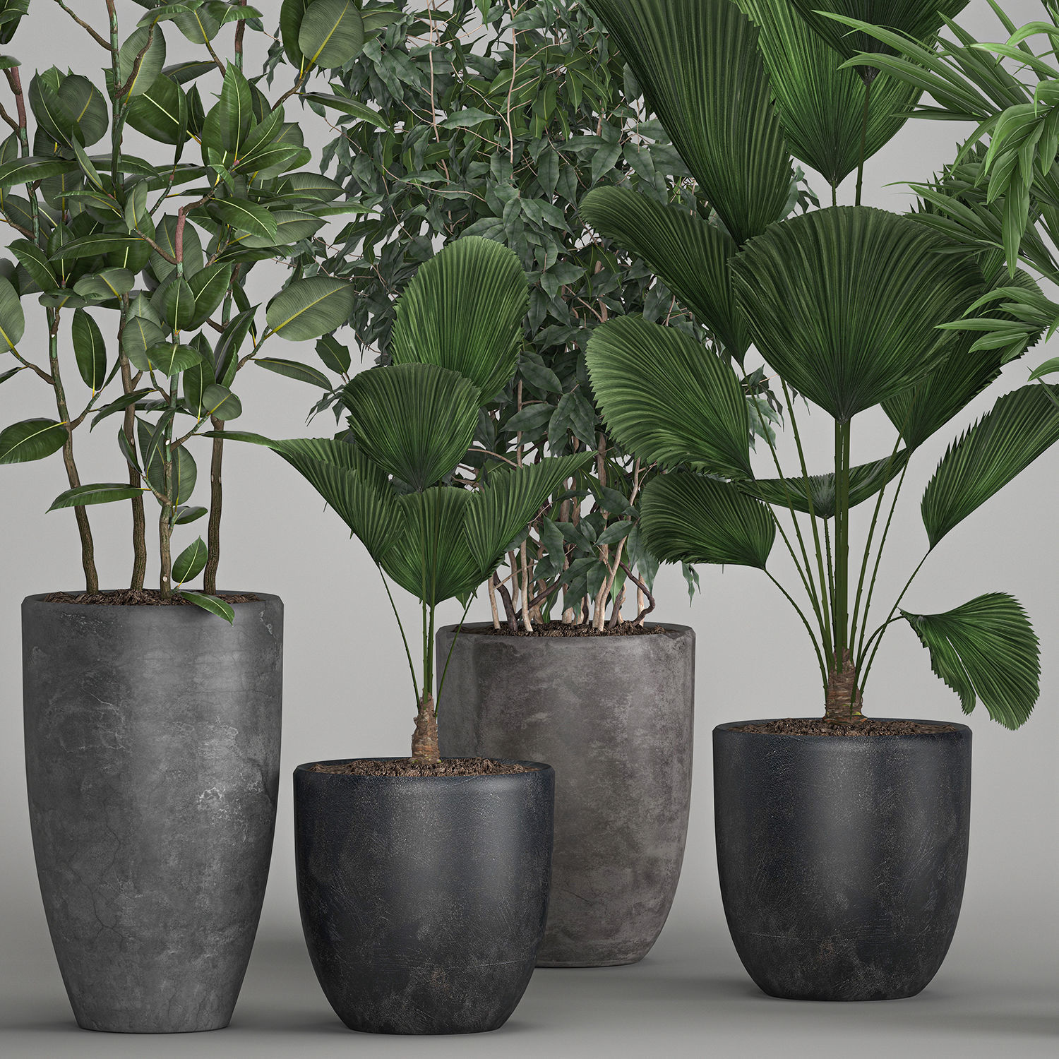 Houseplants in a flowerpot for the interior 1003 3D model_3