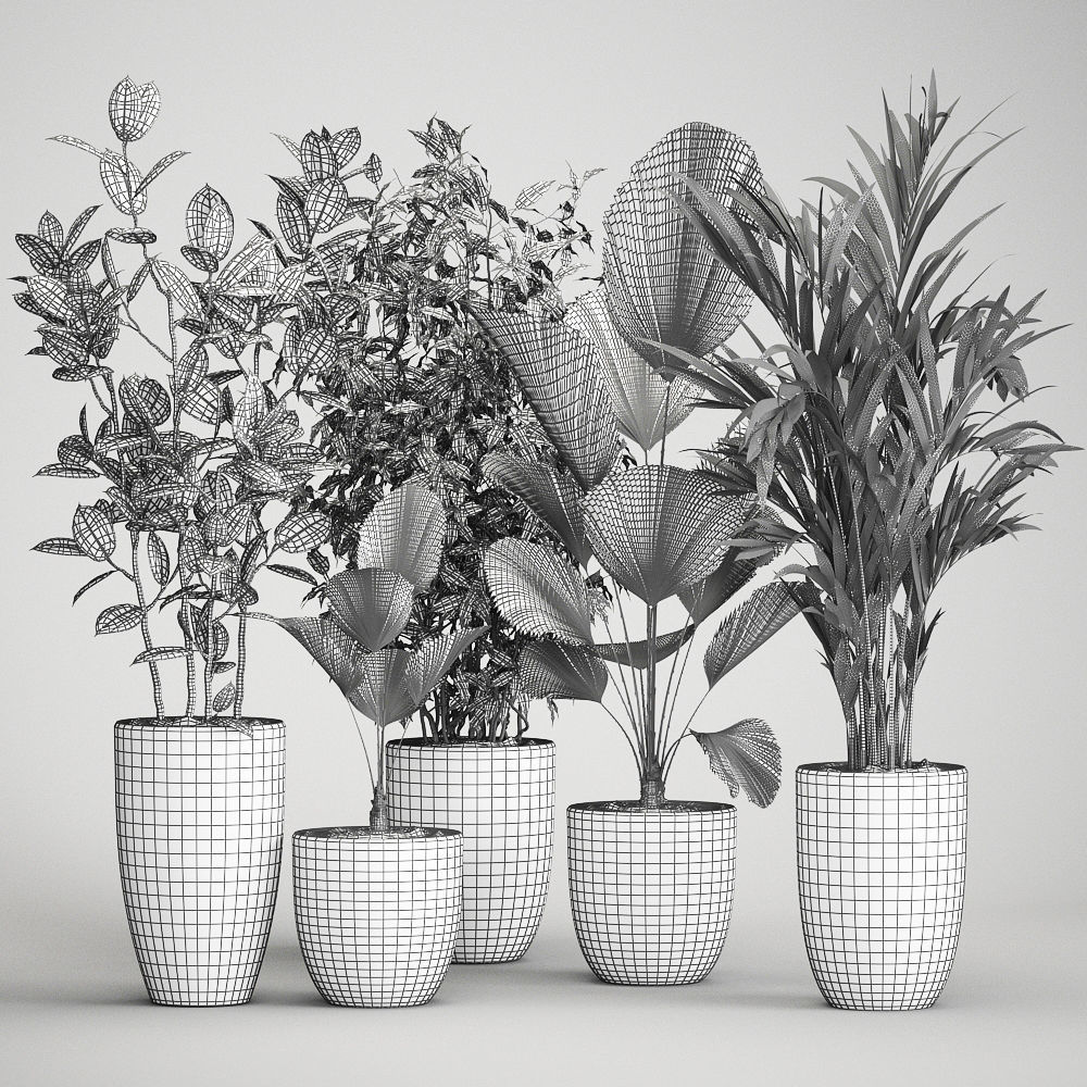 Houseplants in a flowerpot for the interior 1003 3D model_6