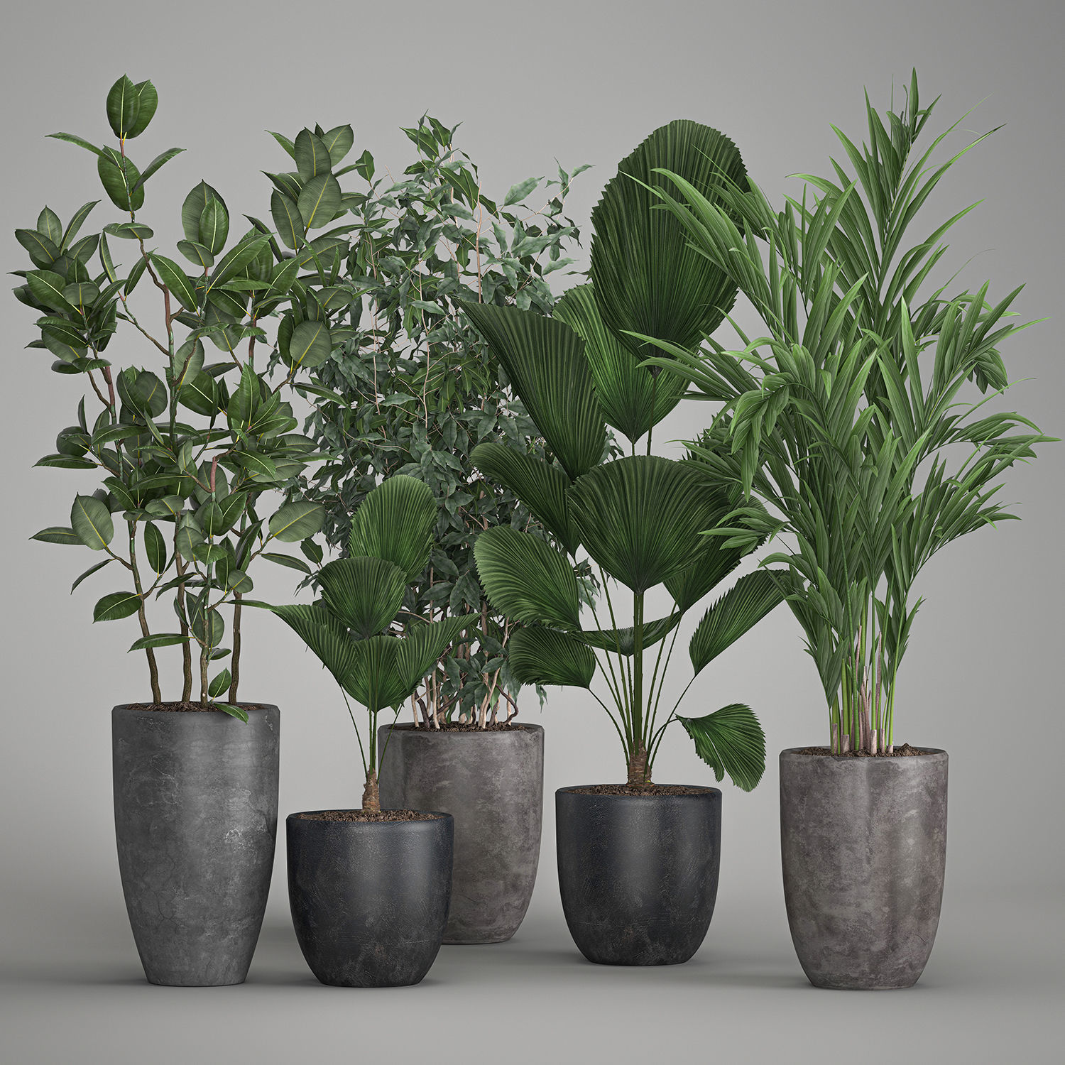 Houseplants in a flowerpot for the interior 1003 3D model_2
