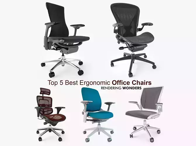 Top 5 Best Ergonomic Office Chairs