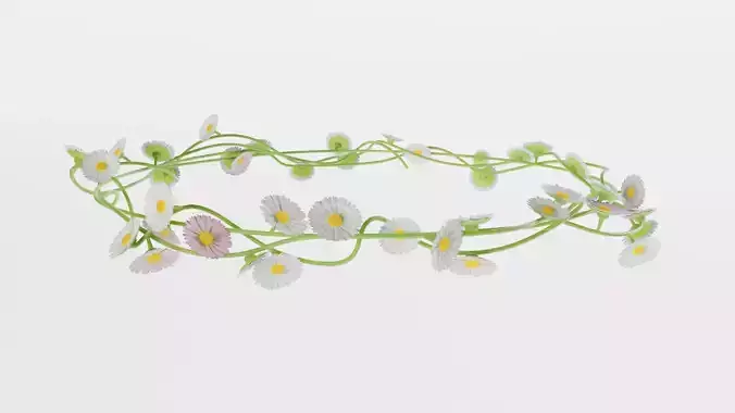 Daisy Flower Crown