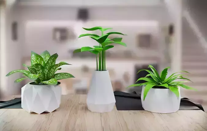polygonal pots 3d printing