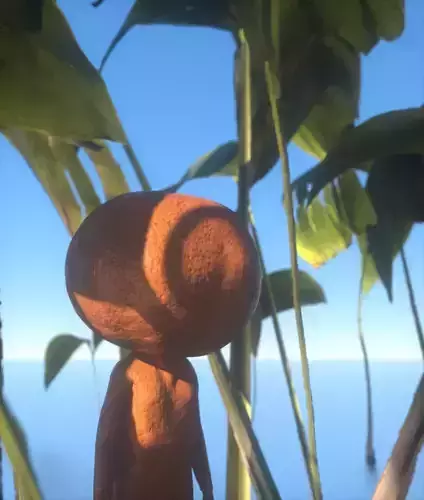 Orange man Free 3D model