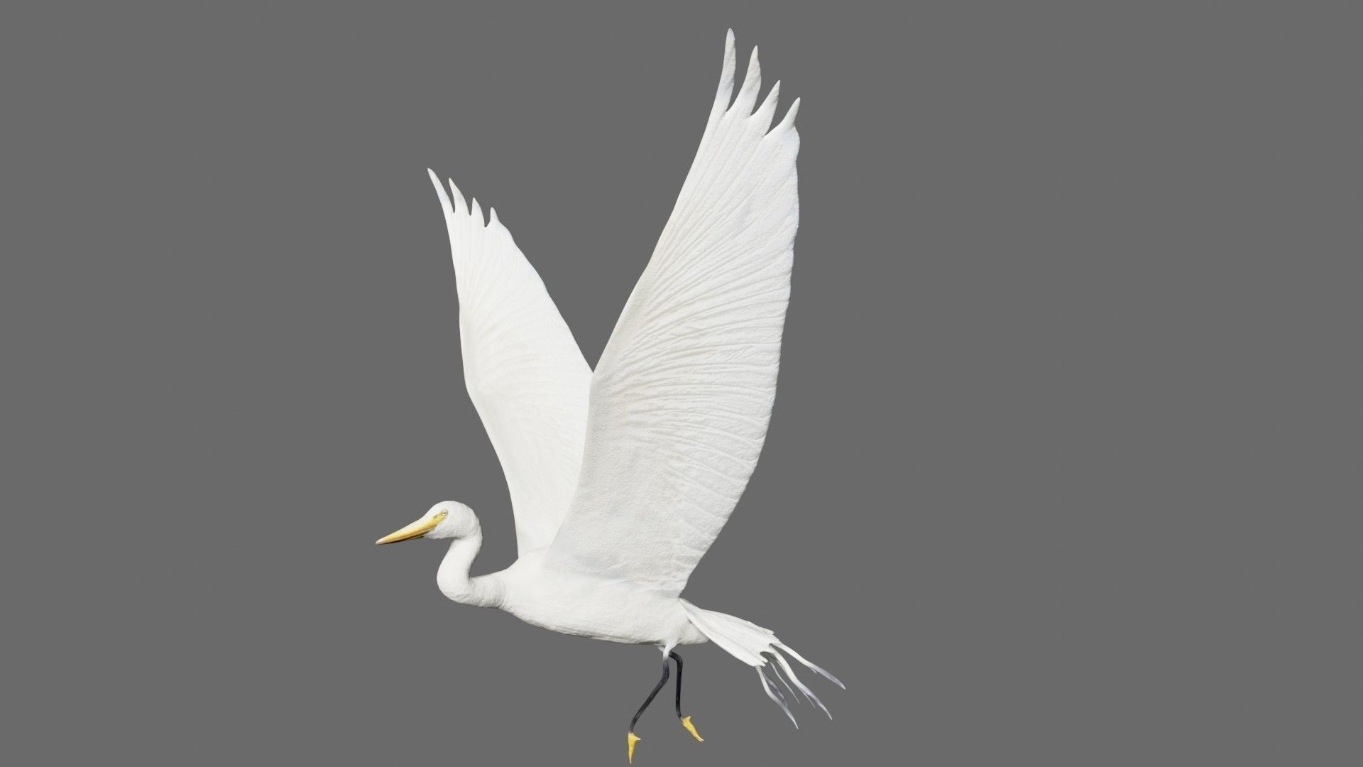 Egret flying in sky Low-poly 3D model_2