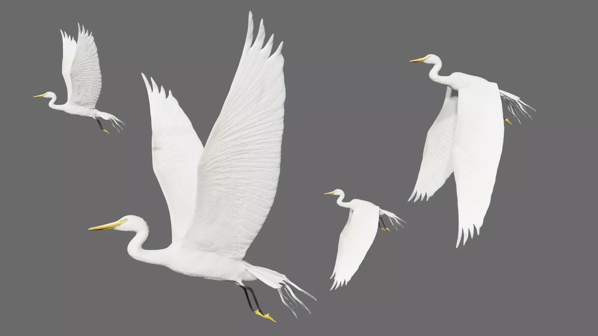 Egret flying in sky Low-poly 3D model_0