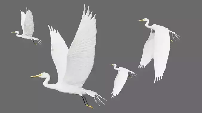 Egret flying in sky Low-poly 3D model