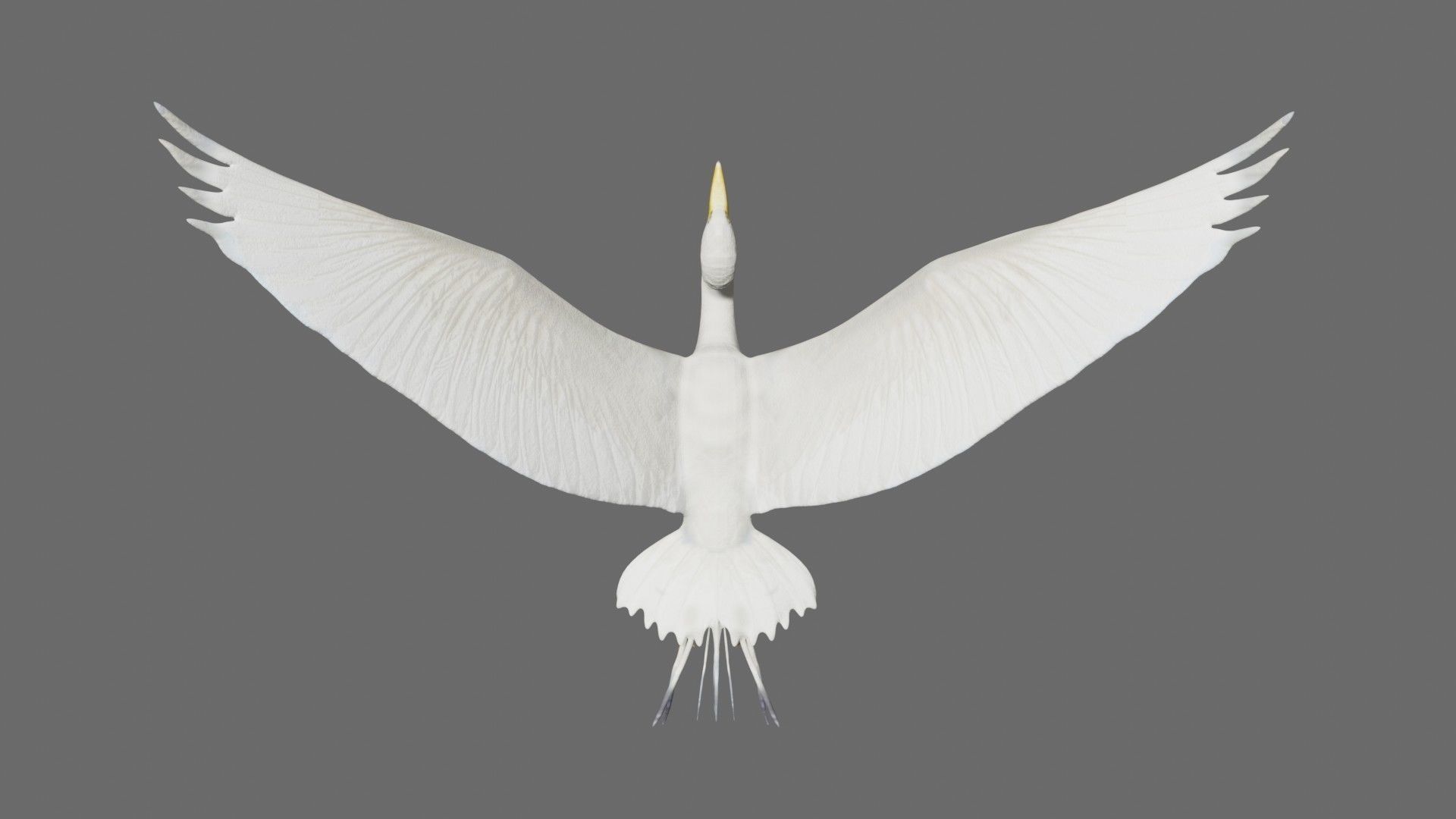 Egret flying in sky Low-poly 3D model_5