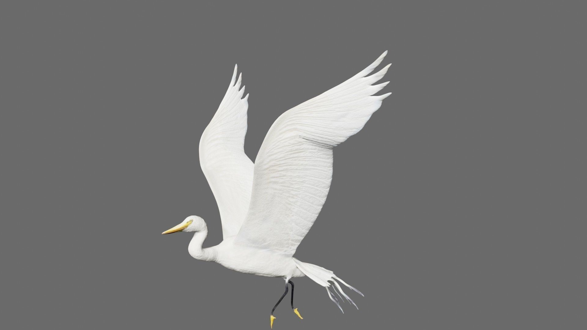 Egret flying in sky Low-poly 3D model_3