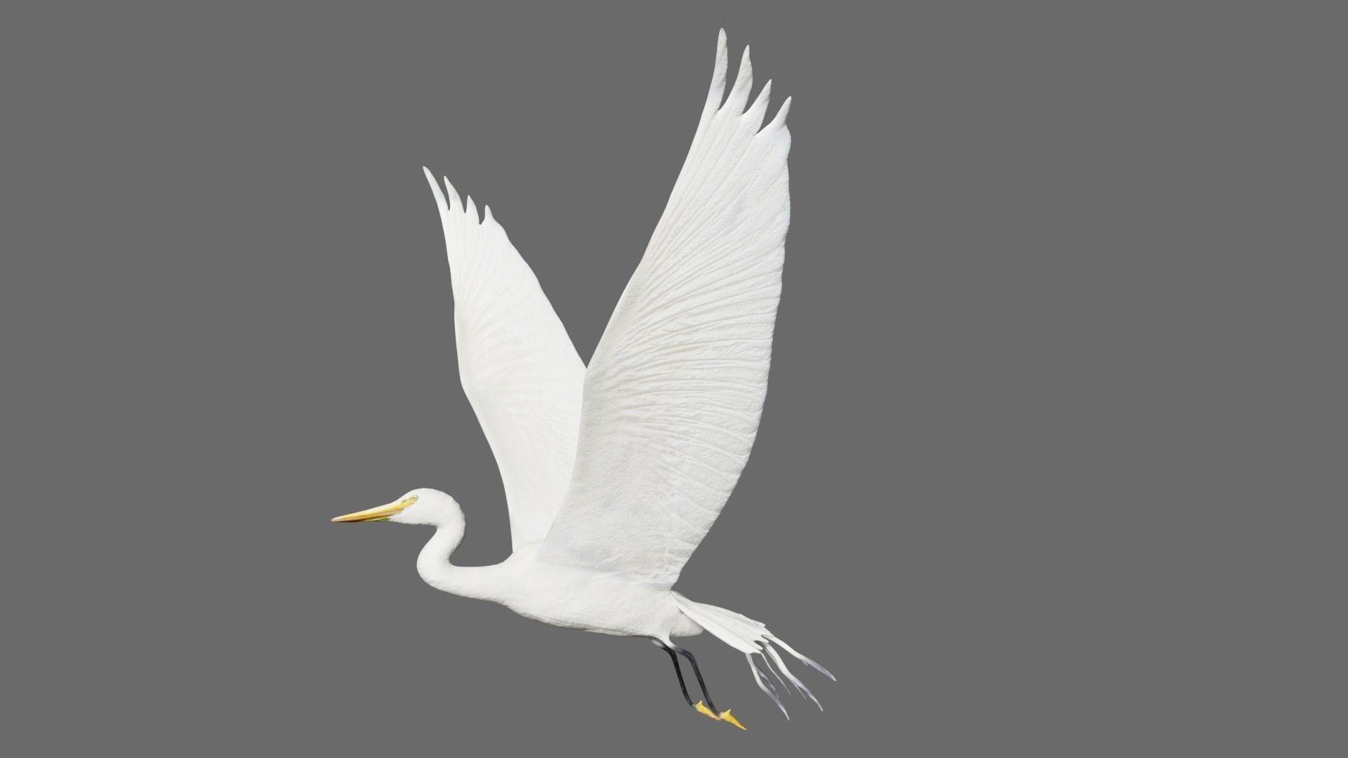 Egret flying in sky Low-poly 3D model_1