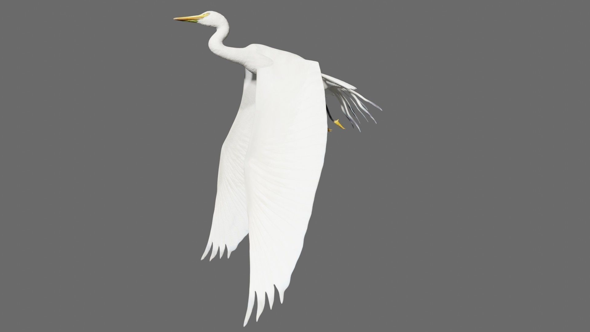 Egret flying in sky Low-poly 3D model_4