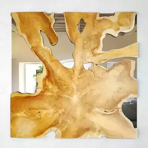 Organic Teak Root Mirror 3D model