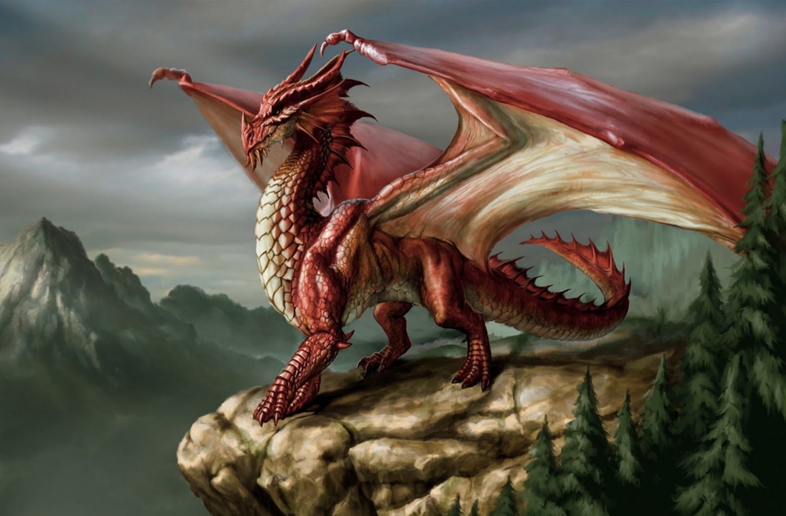 flying Dragon 3D model_1