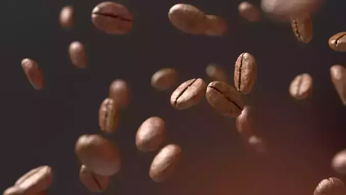 Coffee Bean 3D model