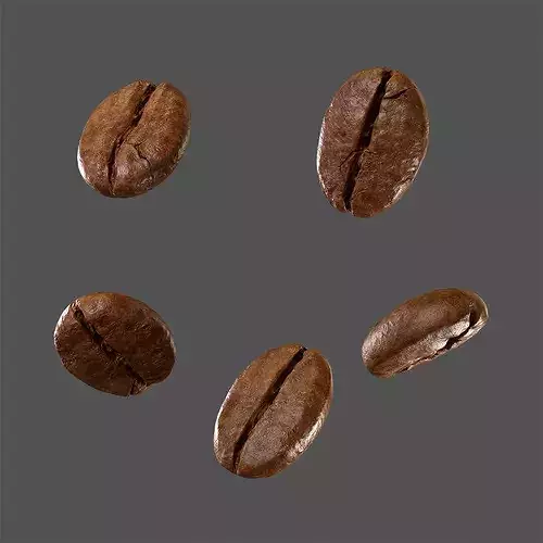 Coffee Bean 3D model 3D model 3