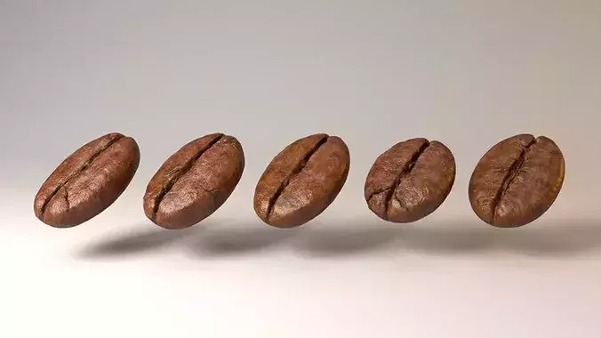 Coffee Bean 3D model 3D model 5