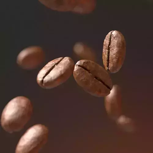 Coffee Bean 3D model 3D model 2