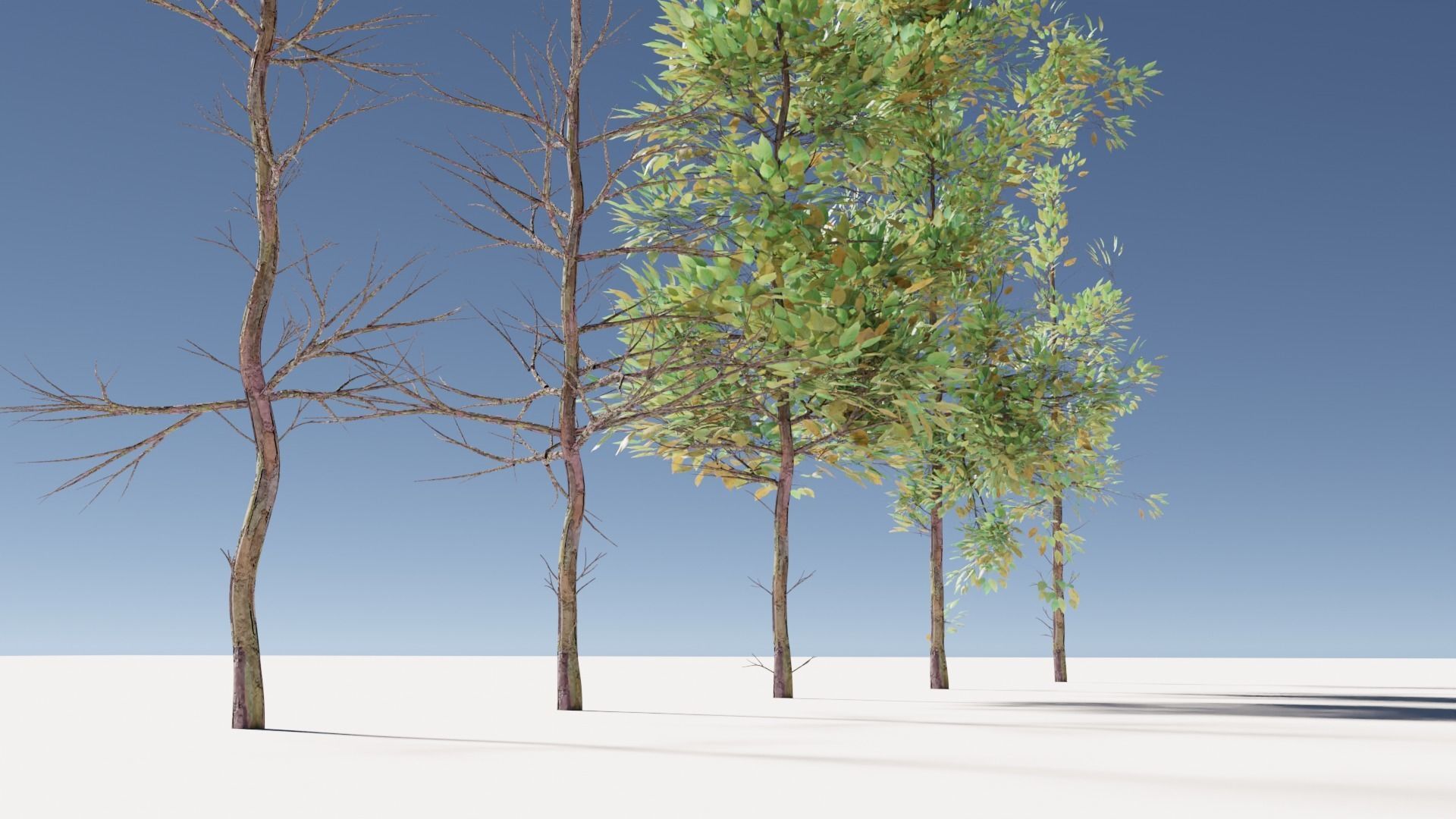 Trees four Free 3D model_3