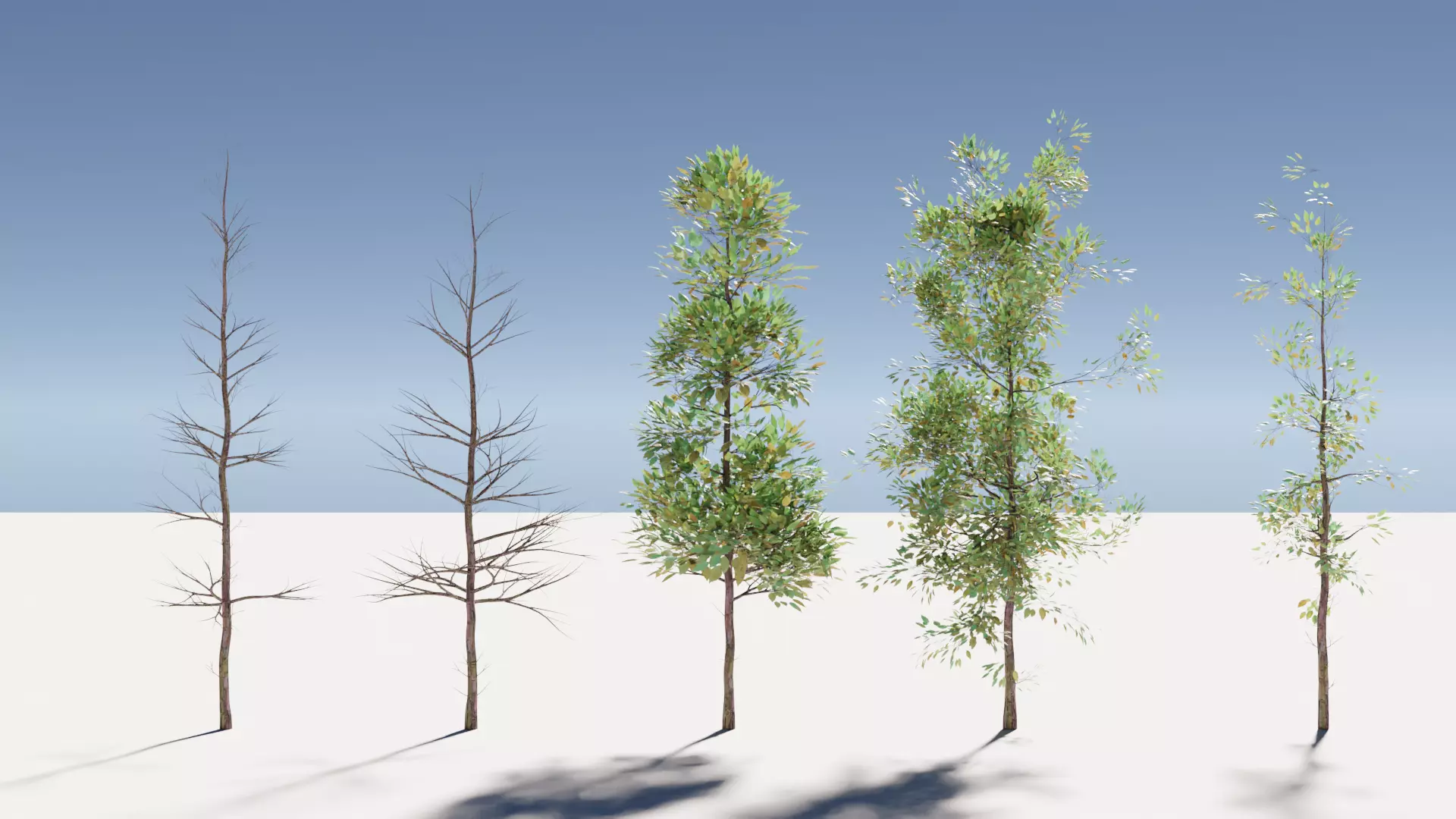 Trees four Free 3D model_0
