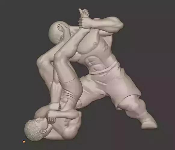 Brazilian jiu Jitsu 3D model