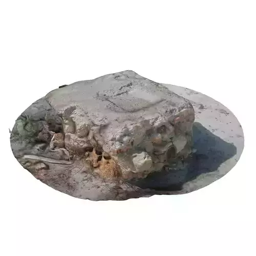 rock 1 piece of concrete in circle