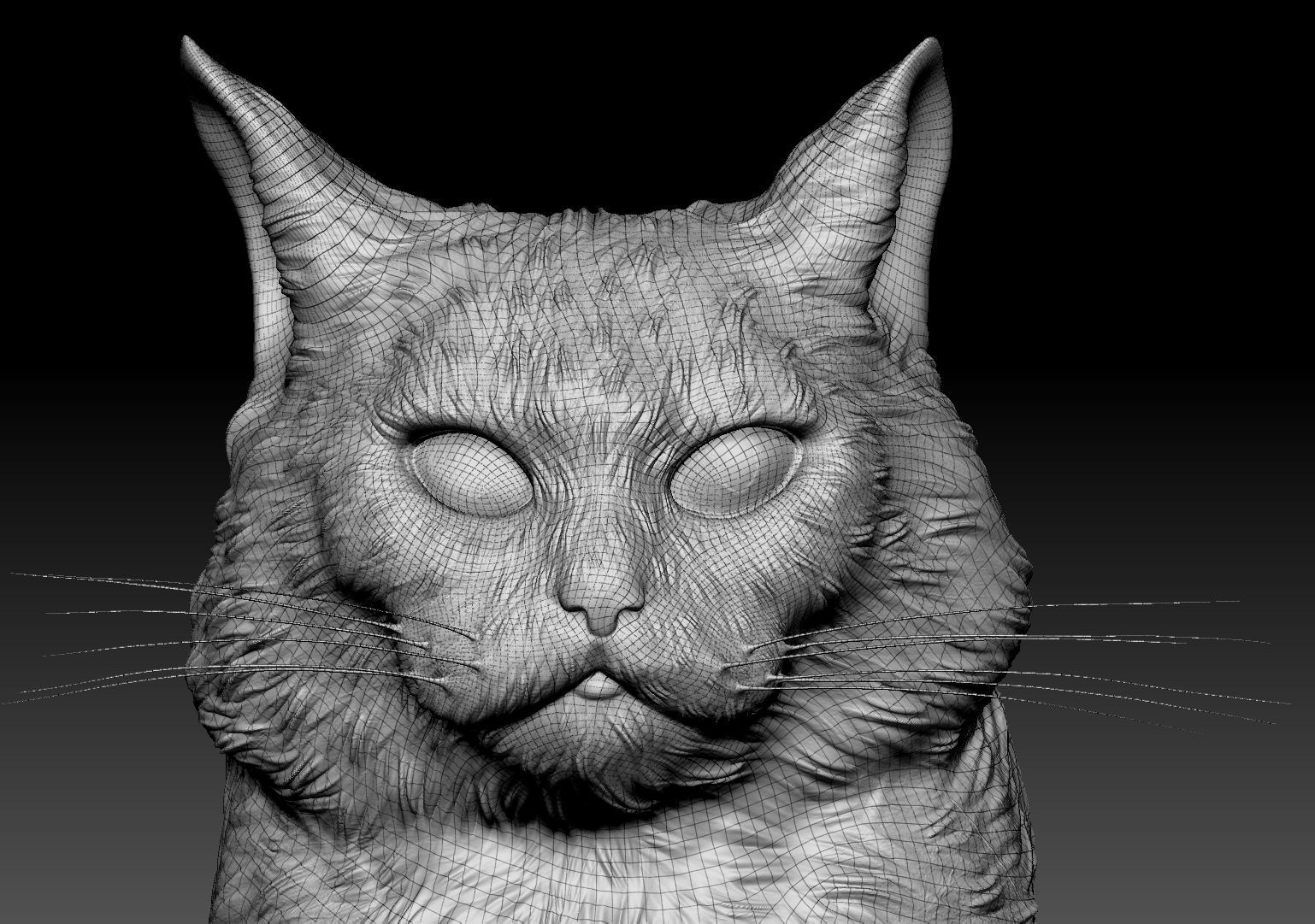 Fluffy cat 15 Low-poly 3D model_5
