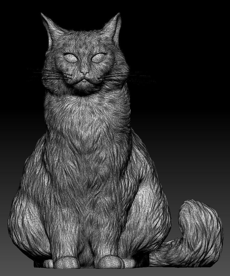 Fluffy cat 15 Low-poly 3D model_6