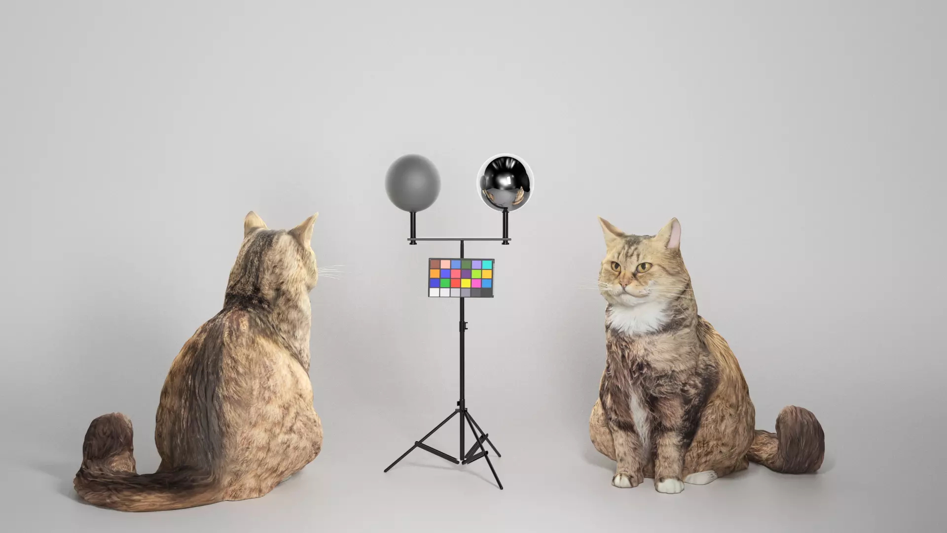 Fluffy cat 15 Low-poly 3D model_0