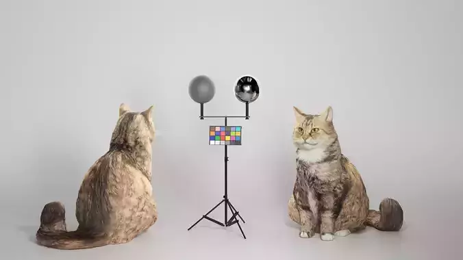 Fluffy cat 15 Low-poly 3D model