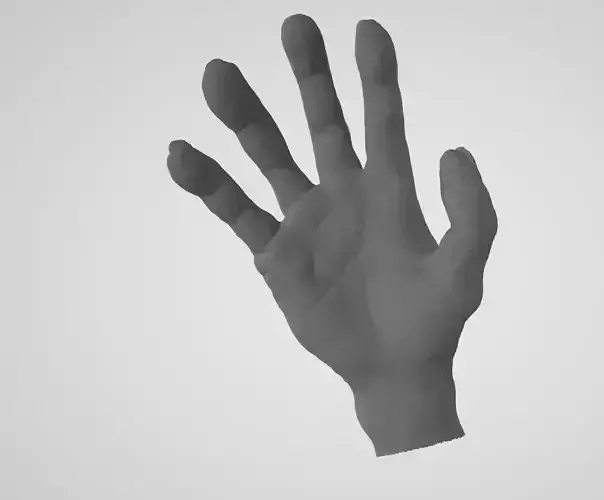 Hands Left and Right