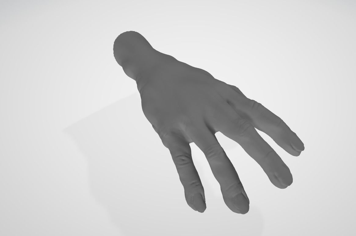 Hands Left and Right 3D model_1