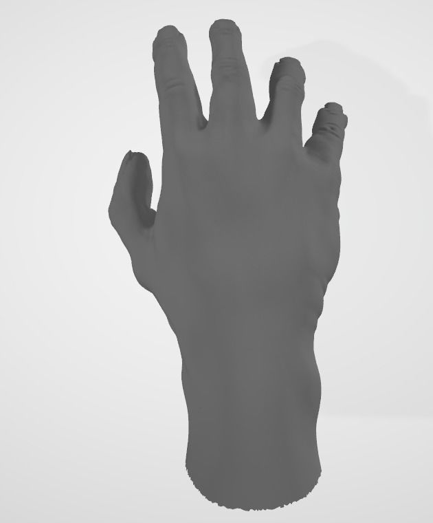 Hands Left and Right 3D model_2
