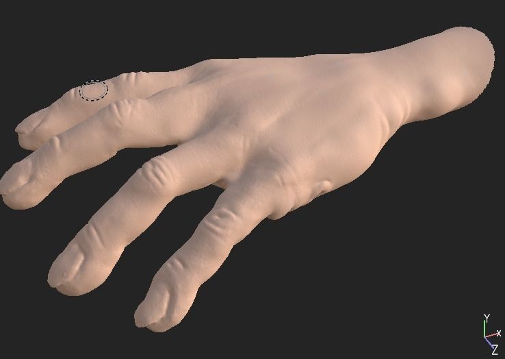 Hands Left and Right 3D model_3