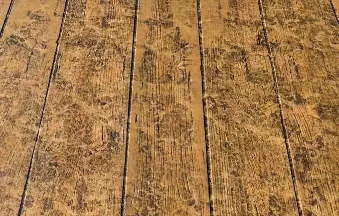 Wooden Planks PBR Texture Texture