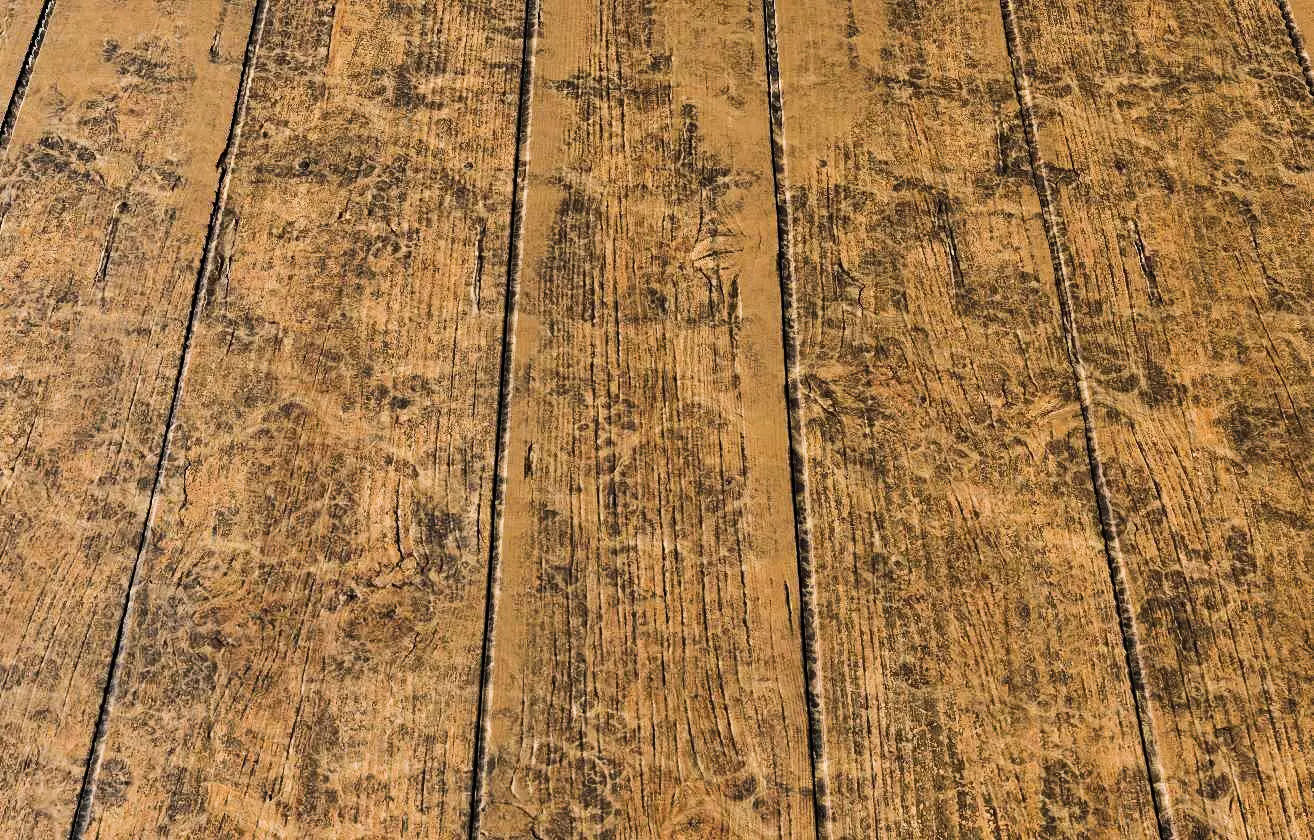 Wooden Planks PBR Texture Texture_0