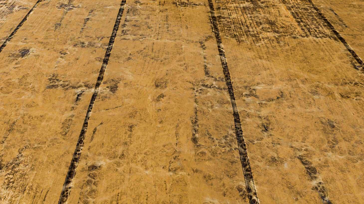 Wooden Planks PBR Texture Texture_3