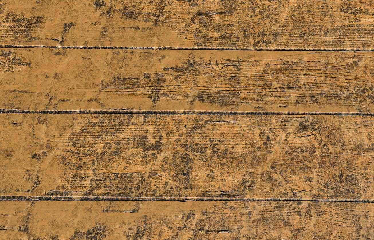 Wooden Planks PBR Texture Texture_8