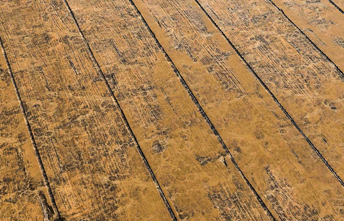 Wooden Planks PBR Texture Texture_5