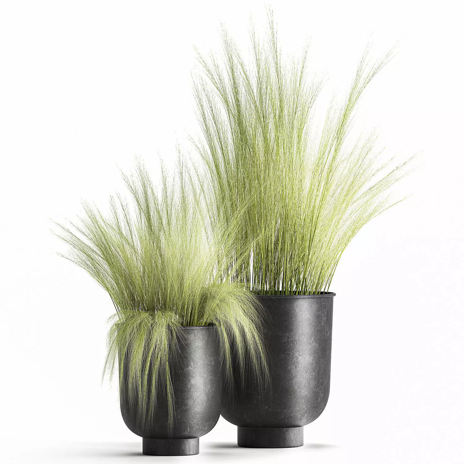 Grass in a Flowerpot for the interior 1004 3D model_0