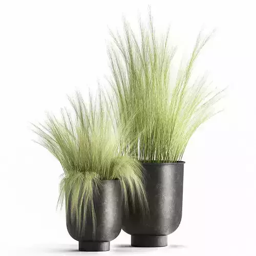 Grass in a Flowerpot for the interior 1004