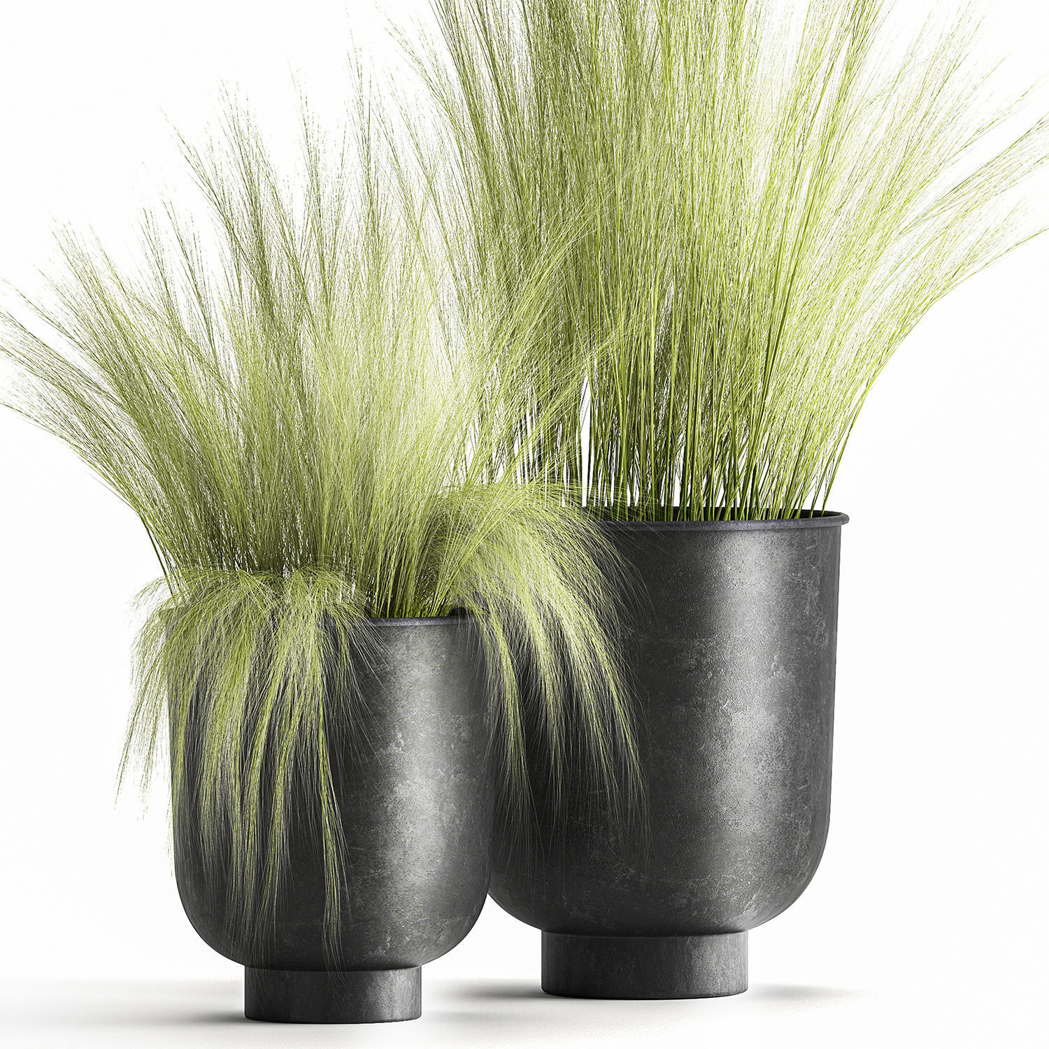 Grass in a Flowerpot for the interior 1004 3D model_1