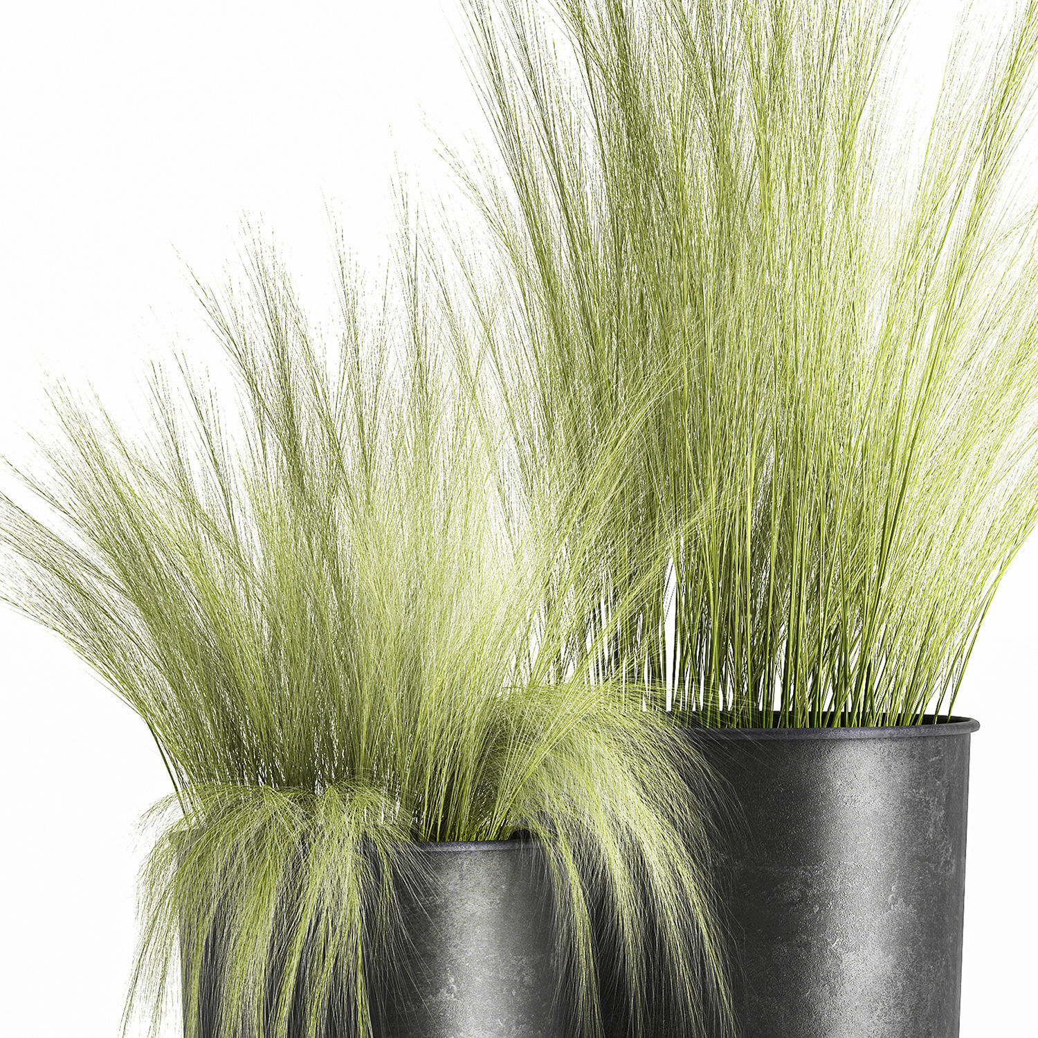Grass in a Flowerpot for the interior 1004 3D model_2