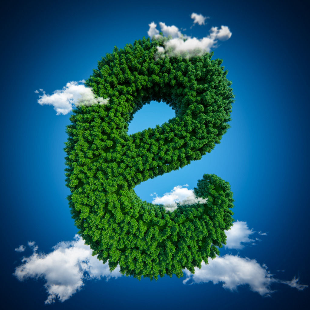 Easy Environment 3D model_3