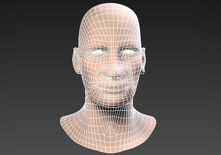 Realistic Head  Low-poly 3D model_6