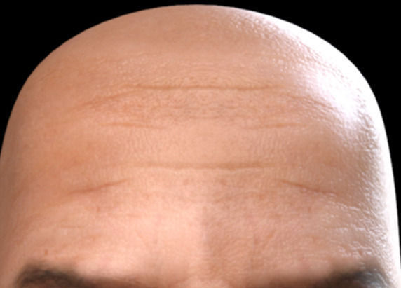 Realistic Head  Low-poly 3D model_4