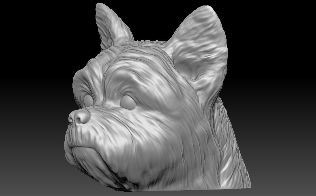 Yorkshire Terrier head for 3D printing 3D print model_5